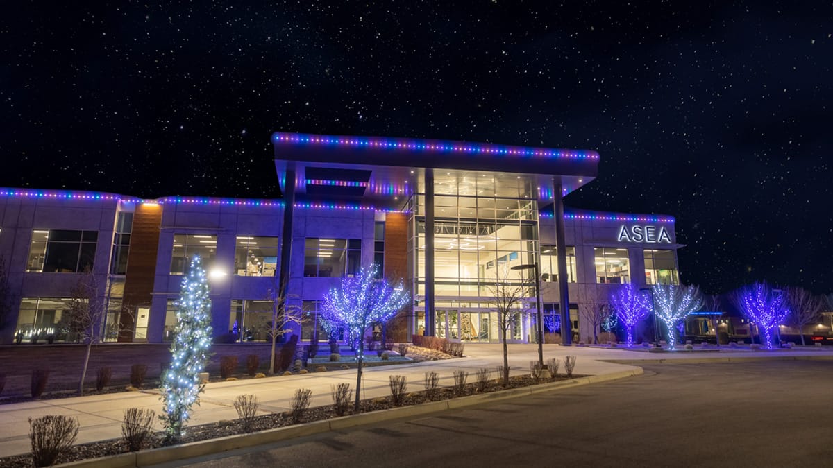 Permanent Event/Holiday Lights for Businesses